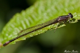 2013-06-16 groyae pechlibelle 1200x800 img 0292