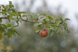 2012-09-23 naturbild 750x500 img 1157