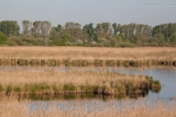 20140421 unser naturschutzgebiet hp img 3000