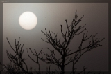 2015NaturaufnahmeIMG 7407