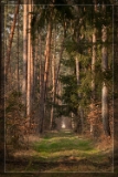 2015NaturaufnahmeIMG 8189