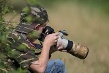 2013-07-21 robin 1200x800 1r1b1274