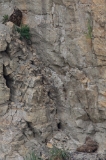 20140510 Uhu HP IMG 4548