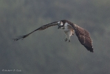 20140906  HP IMG 0958