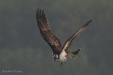 20140906  HP IMG 0959
