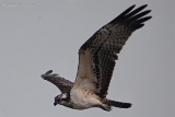 20140906  HP IMG 0976
