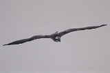 20140906  HP IMG 0983